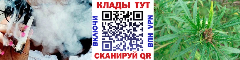 Галлюциногенные грибы Чехов