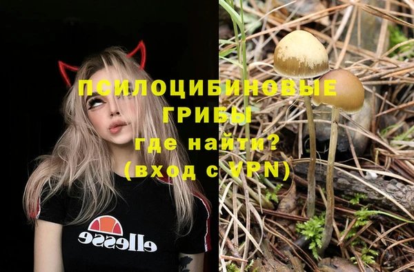 кристаллы Абаза