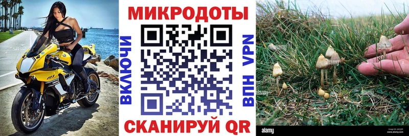 Галлюциногенные грибы MAGIC MUSHROOMS  гидра зеркало  Чехов 